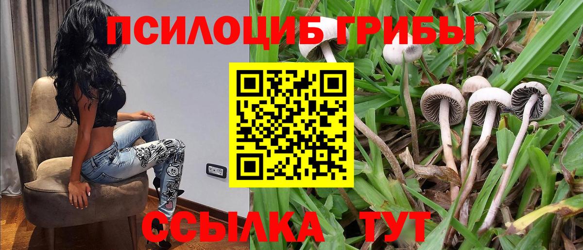Псилоцибиновые грибы мухоморы  Вход с VPN  Железногорск 